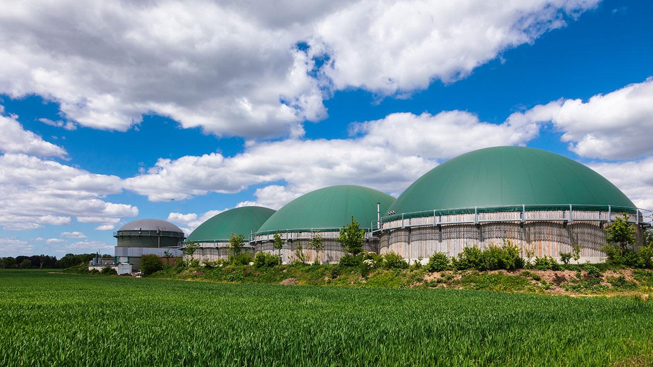 Three anaerobic digesters in a grassy area with blue sky above