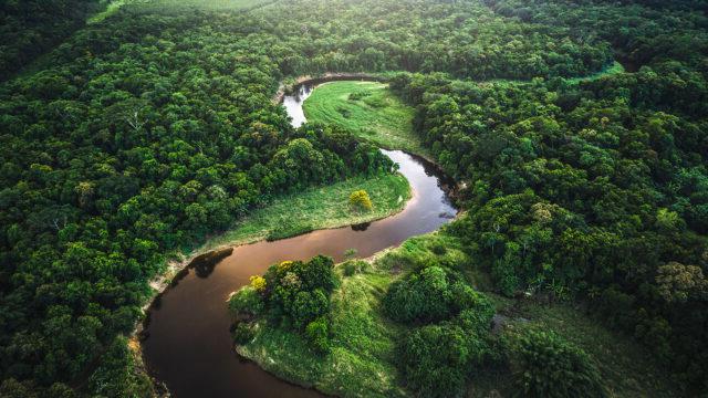 巴西大西洋森林鸟瞰图