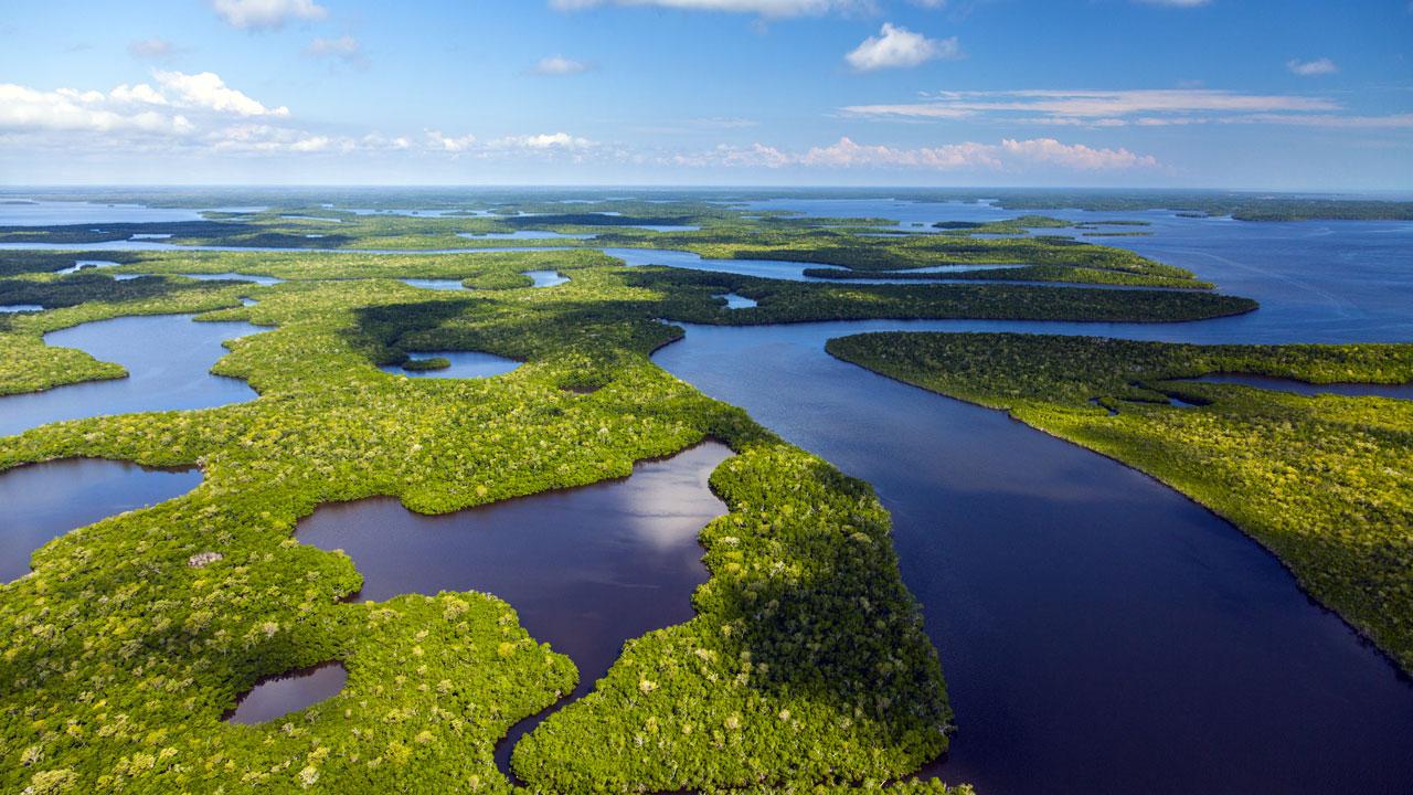 The blue waters and green vegetation of a wetland in the Everglades pictured beneath a vast blue sky with fluffy clouds