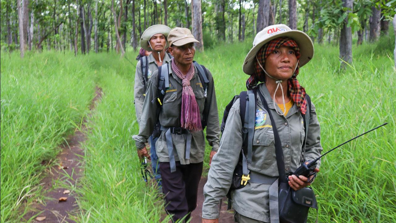 A woman leads a group of people on a forest trail in Cambodia